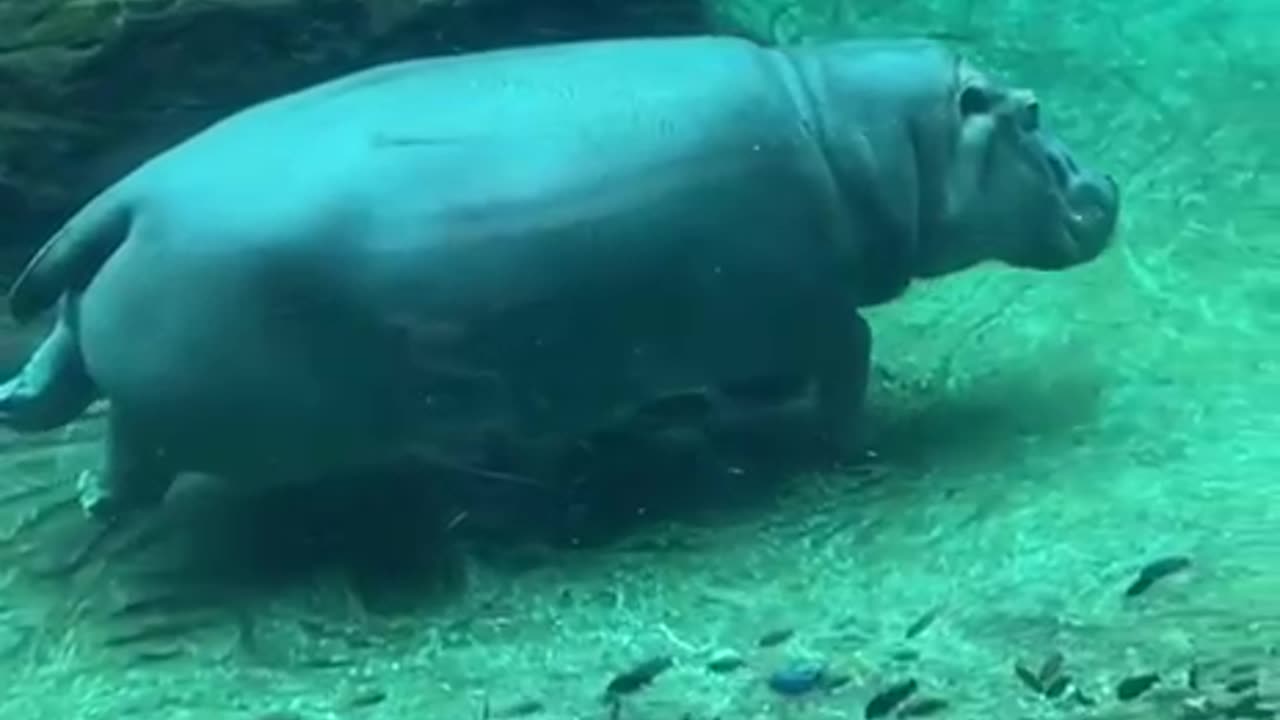wonders of the world