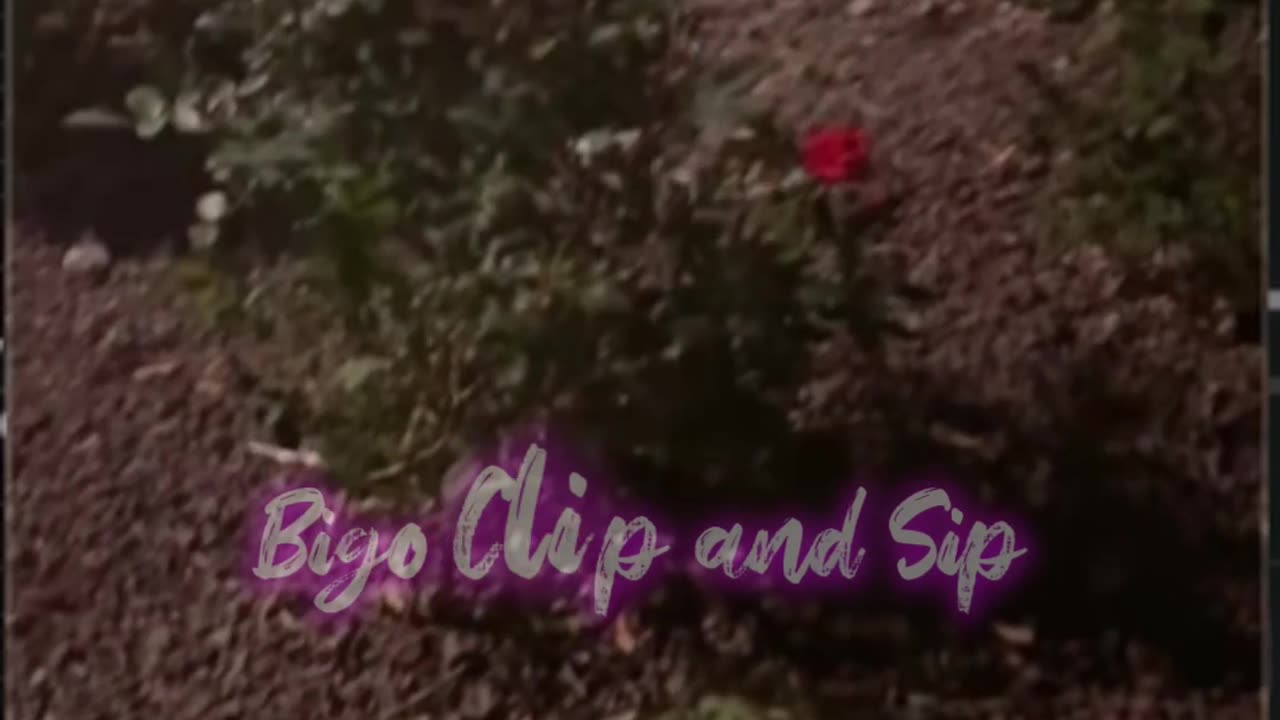 Police come to TomiKay's house after live says she drinking w/kids in car 5/23/25 #bigoclipandsip