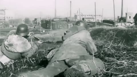 The Stopgap Tank Hunter Why the Marder Was Crucial to Germany’s Antitank Strategy