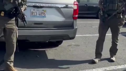 The impede caravans are out early this morning yelling, whistling, and cursing DHS agents