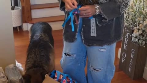 Opening Gifts with the Birthday Girl!🎉🎁🐾