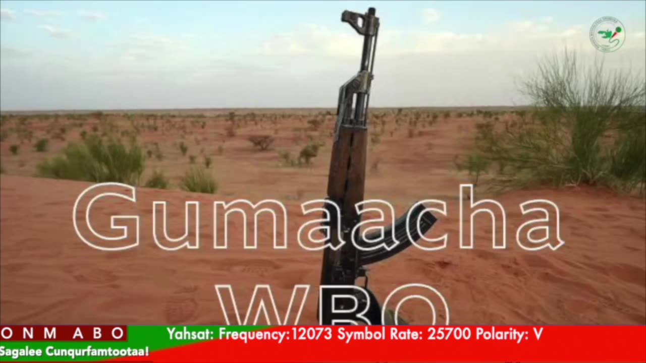 Gabaasa Gumaacha ONM-ABO Caamsaa 20-2025 itti dhiyaadhaa!