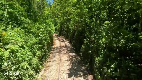 Aldous Huxley Helping People Realize Their Potentialities