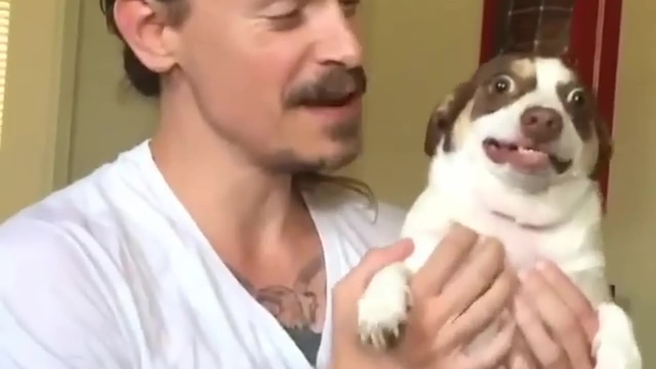 Funny animals videos 😂😂😂😂