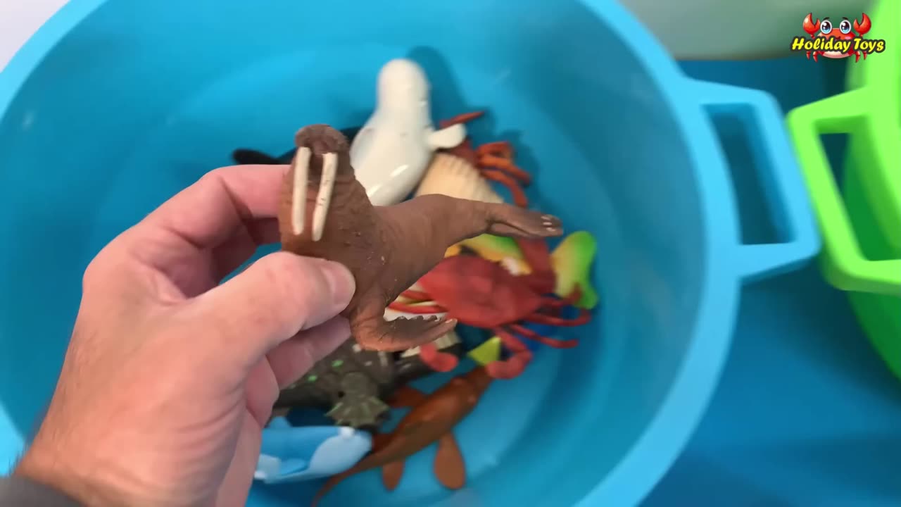 House Flies Flying Around a Large Dead Fish