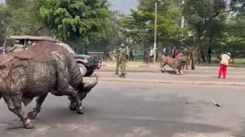 Uhuru Park sculptures dragged to Kenyatta Avenue