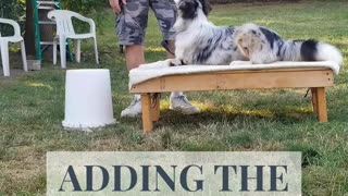 Back to the Basic Adding Verbal Cue short 6
