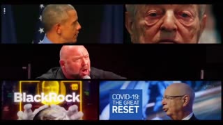 INFOWARS Shows