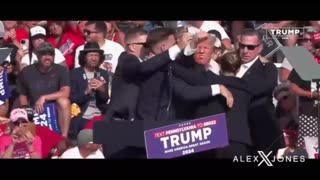 INFOWARS Shows