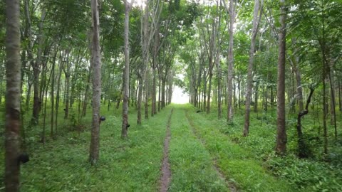 Key Phases of the Environmental Due Diligence Process