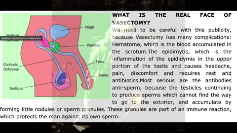 Danger of the VASECTOMY procedure explained in the light of DEUTERONOMY 23:1