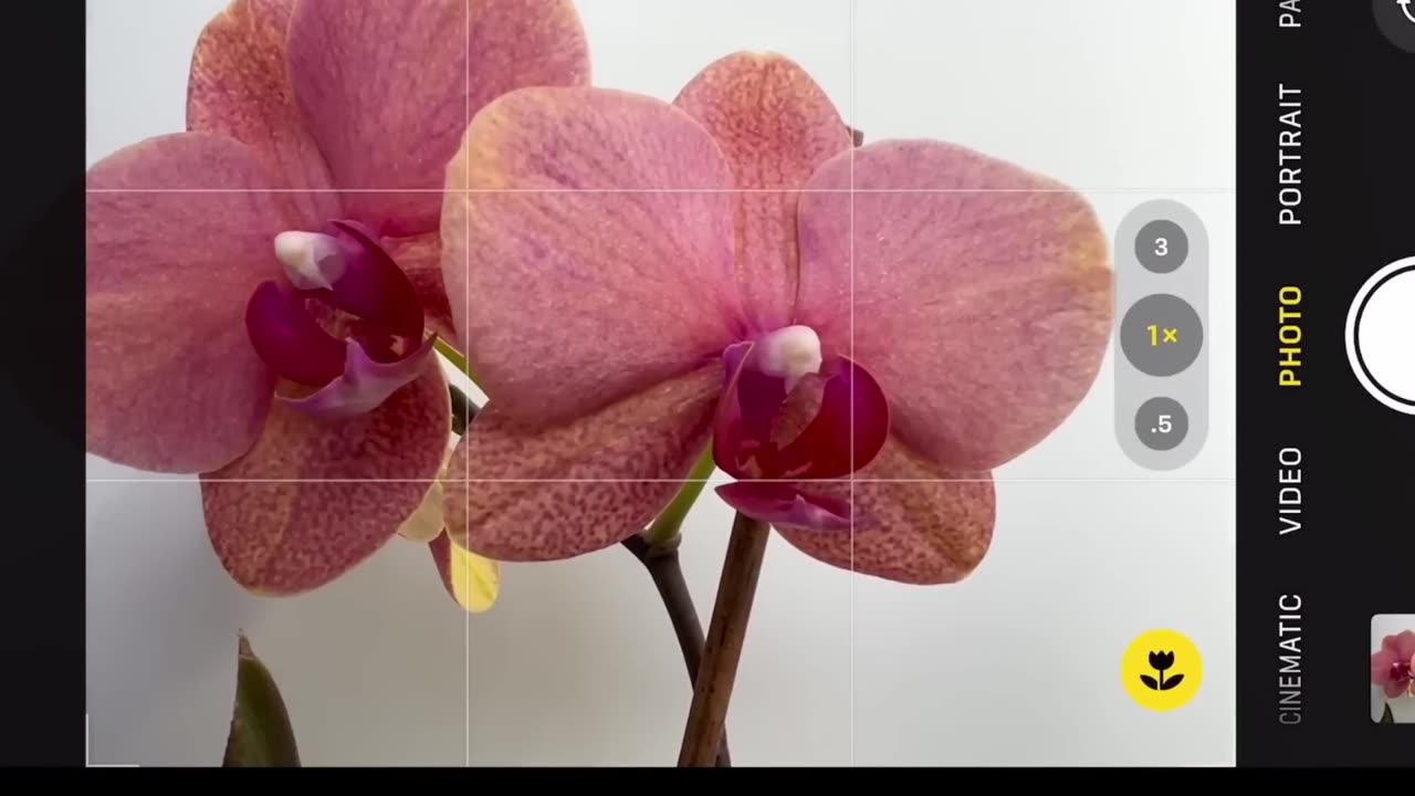 iPhone 17 Pro Max vs iPhone 16 Pro Max Camera Stabilization Test