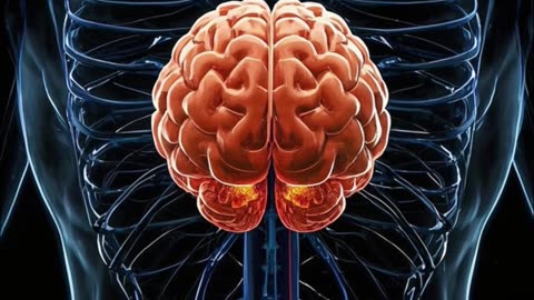 "Body vs. Mind: How Your Brain Affects Physical Health" #motivation #facts #weightgainers #food