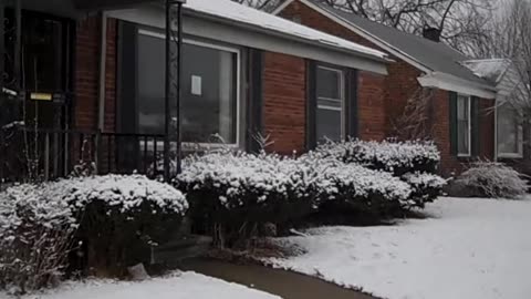 Laurie view a property for Peter down under, THE SHEA SHOW