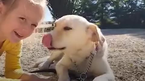 Watch This Pregnant Feral Dog Learn How To Walk On A Leash