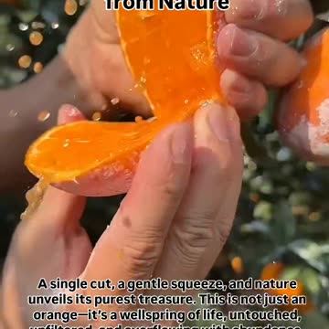 The Sweetest Spring Flows from Nature