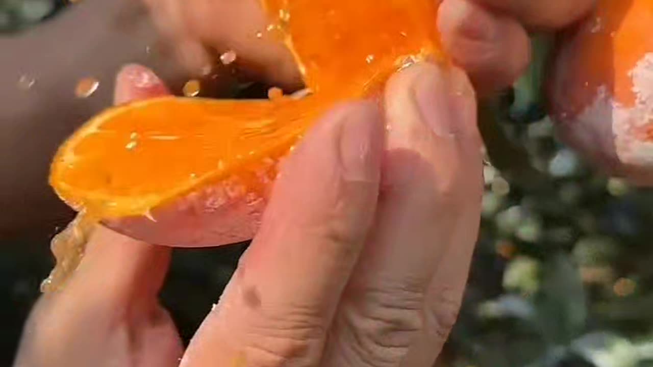 The Sweetest Spring Flows from Nature