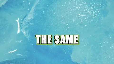 SEA LEVEL RISE SCAM EXPLAINED