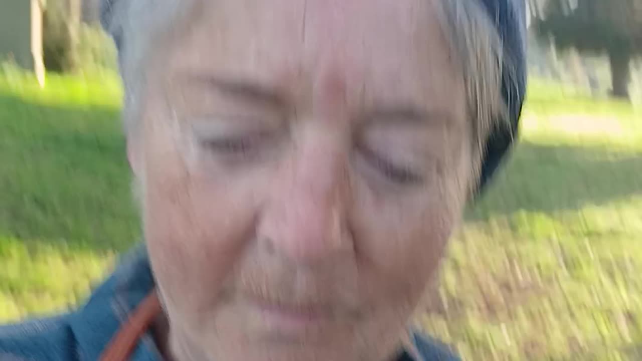 Dog eaters called cops on their insane victim