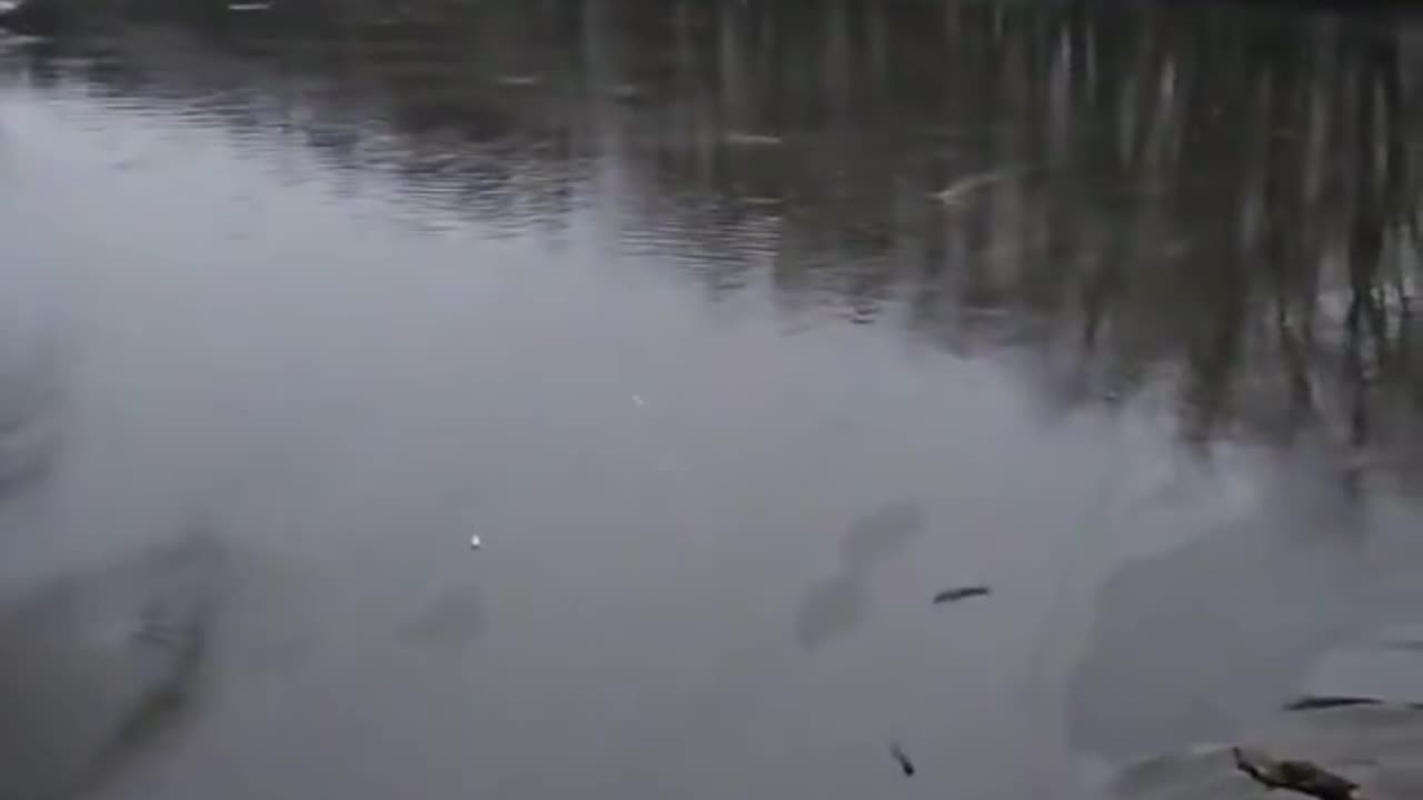 Downtown Grand Rapids Michigan resident is reporting tons of gas and chemicals in the water