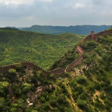 China's Glass Bridge: Not for the Faint of Heart! (Our Reaction!) #viral #viralshorts