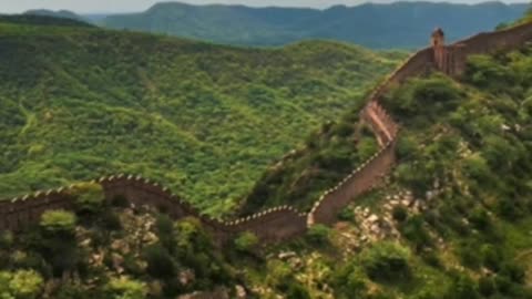 China's Glass Bridge: Not for the Faint of Heart! (Our Reaction!) #viral #viralshorts