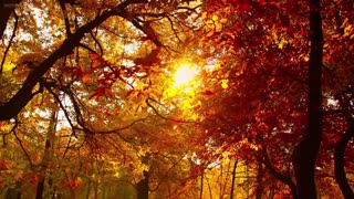 Glass Sleep – stillness frozen in tone.