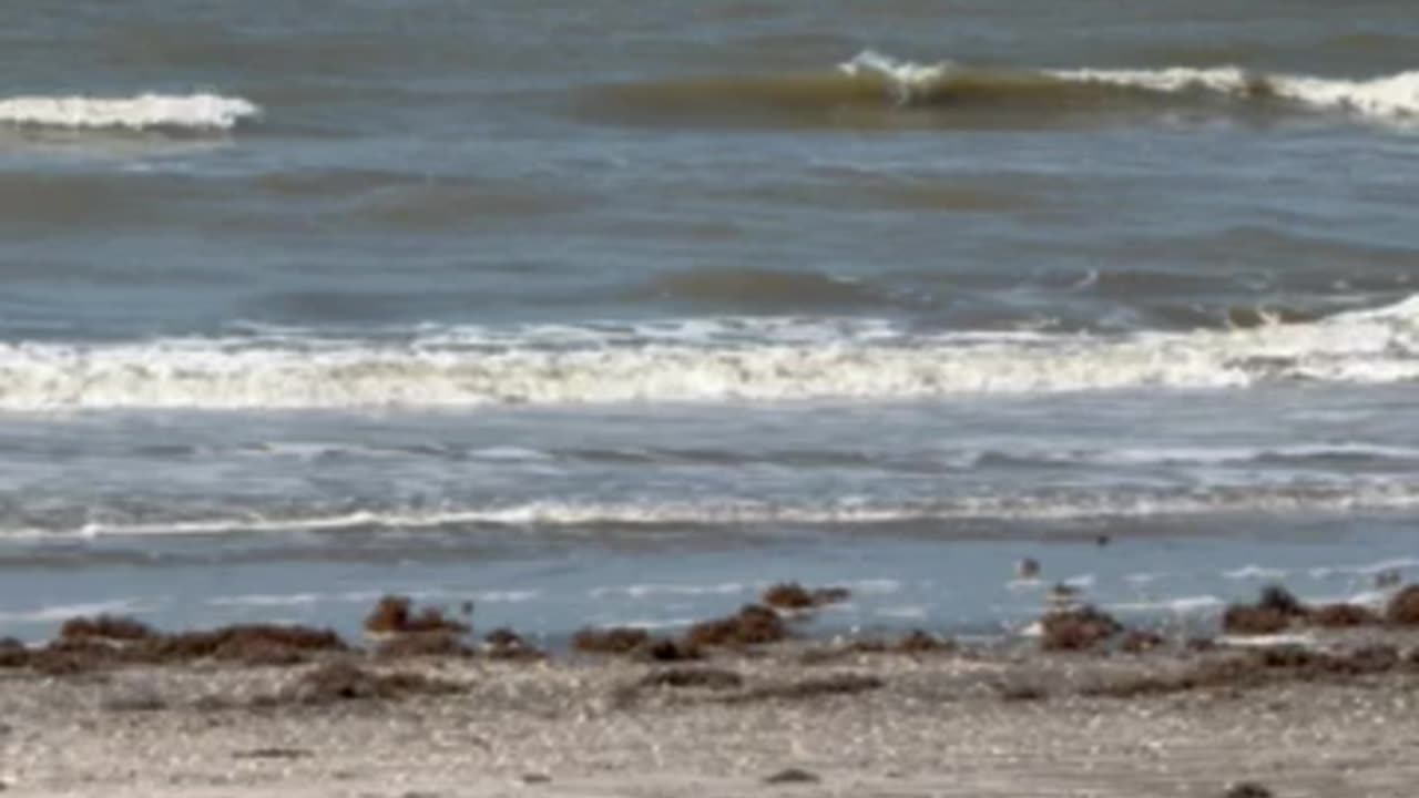 Test video upload