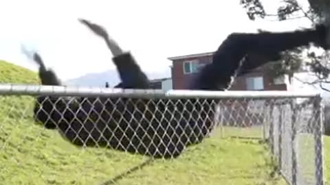 Best jumping animal