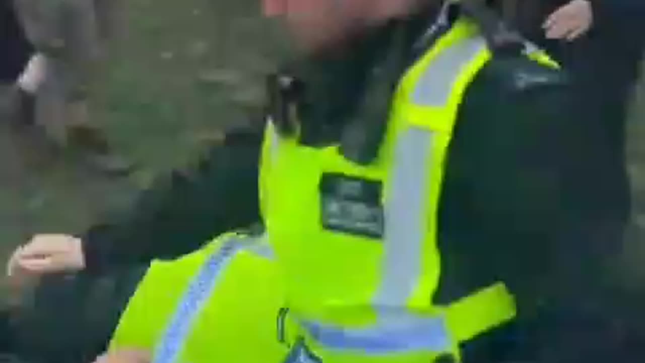 The UK Metropolitan Police assaulting peaceful protesters.