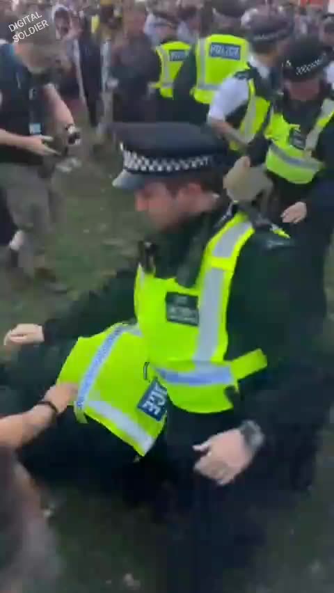 The UK Metropolitan Police assaulting peaceful protesters.