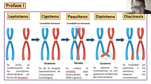 ADC SEMESTRAL PARALELO 2025 | Semana 10 | Biología