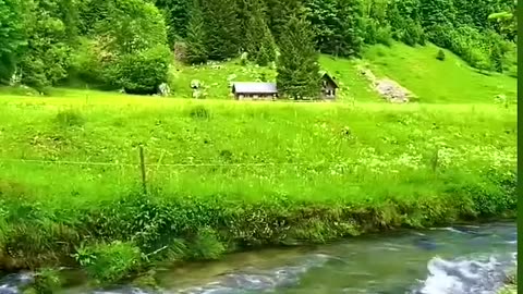 nature beauty