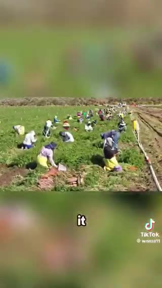 Trump is playing chess while everyone else is playing checkers