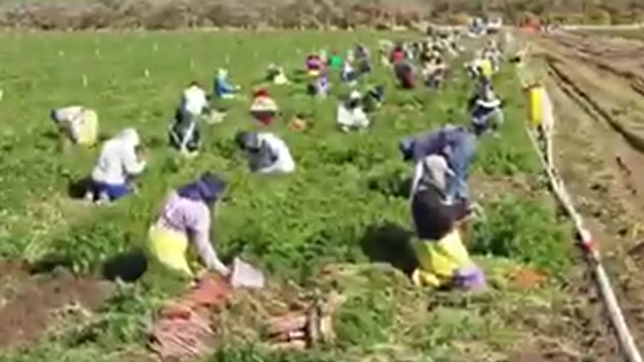 Trump is playing chess while everyone else is playing checkers