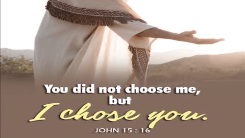 I Chose You