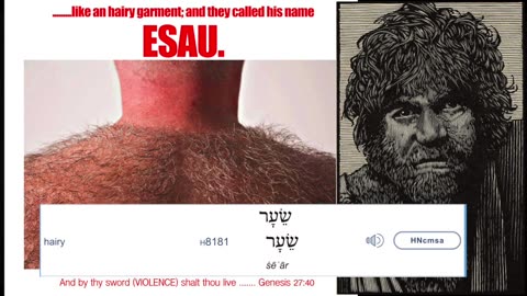 "Baby Esau: A Biblical Scribe's Perspective on Redness and Hairiness"