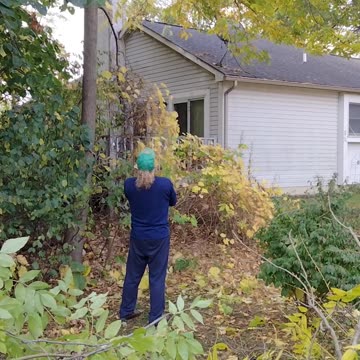 Doing some Fall trimming with a Rope Saw