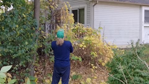 Doing some Fall trimming with a Rope Saw