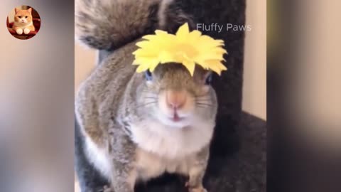 Funny ANIMALS videos 😂 | Funniest Cats and Dogs 2025