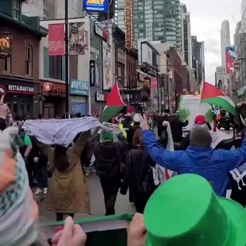 Are These Pro Hamas or Pro Palestine protesters?