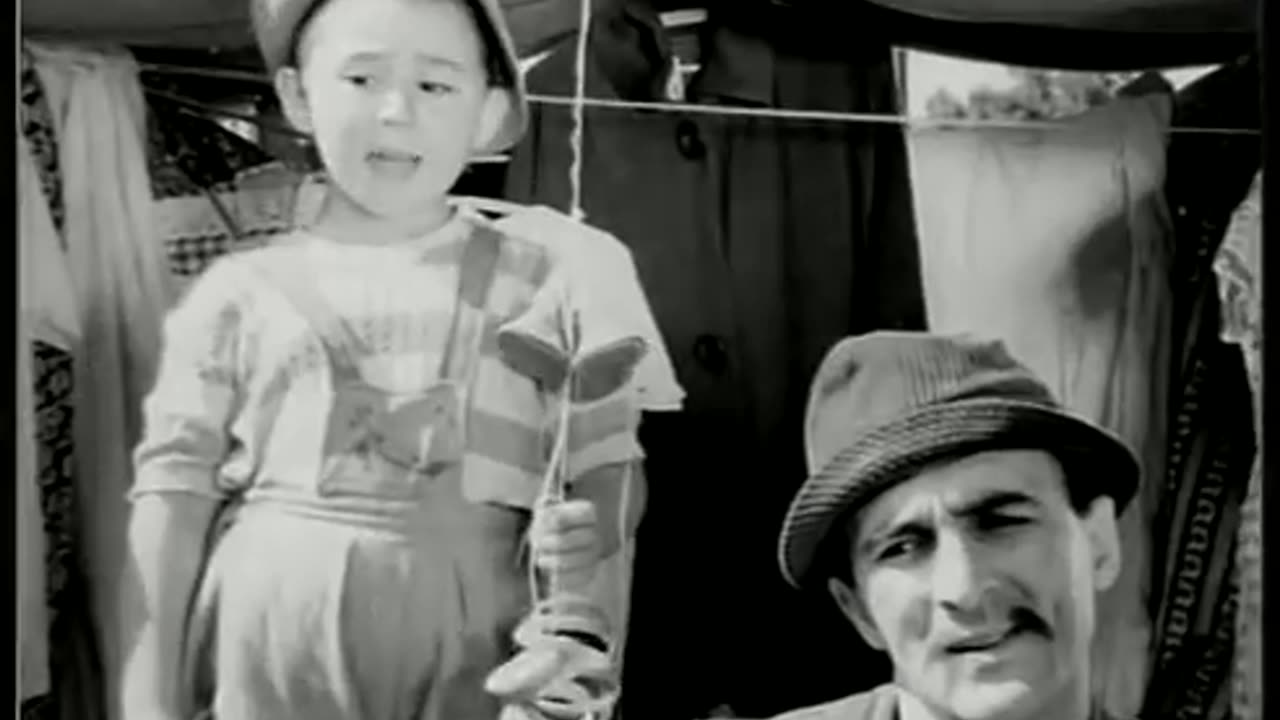 Avare Yavru ve Filinta Kovboy