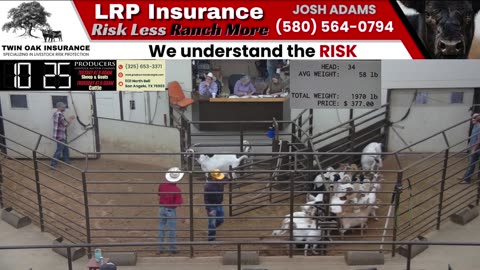 7/30/2025 - Sheep & Goat Auction - Producers Livestock Auction Company