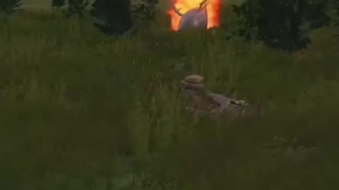 DayZ In A Nutshell
