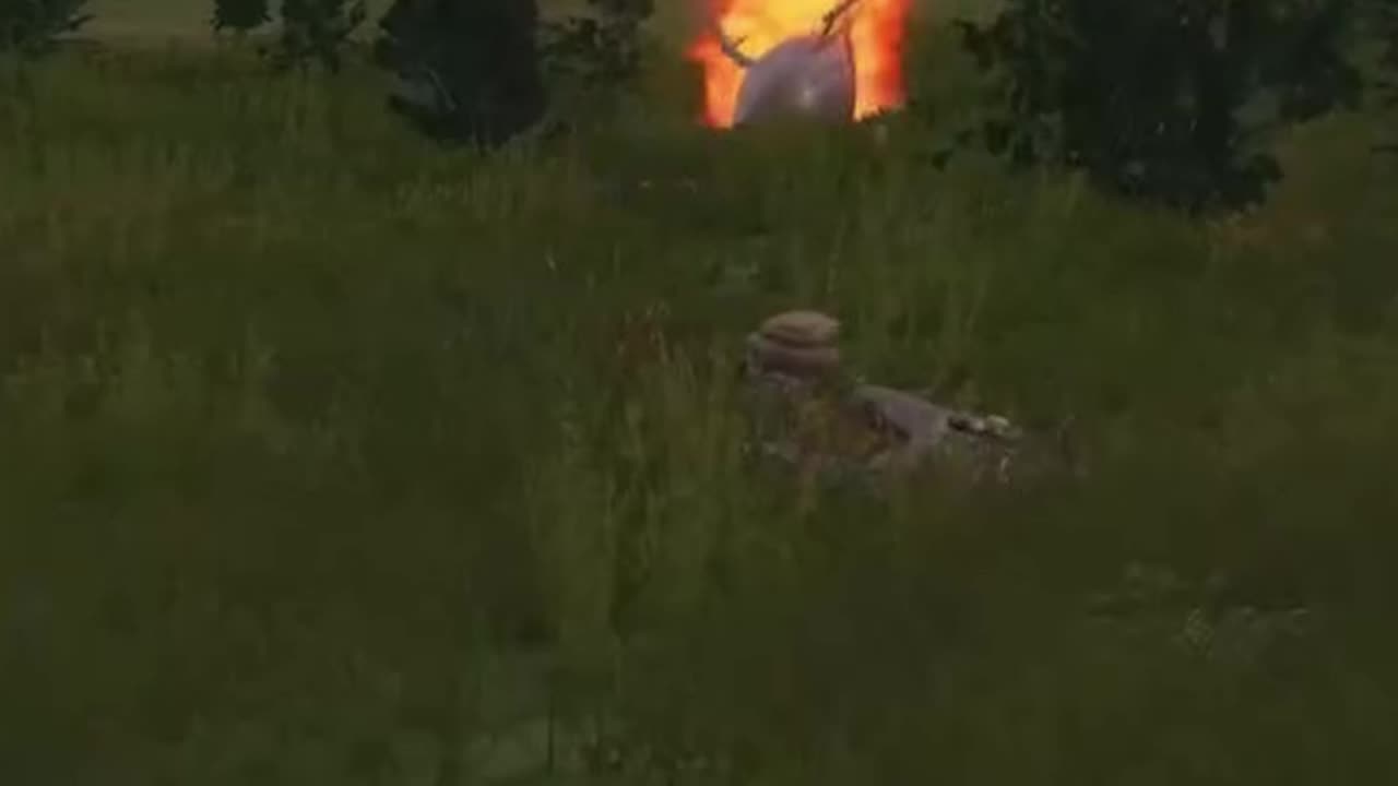 DayZ In A Nutshell