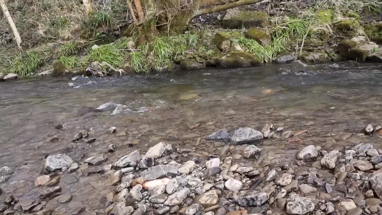 Adventure Awaits: FULL TIME in a Tent, Politics and Opinions Explored! - UK 🇬🇧 Nomads