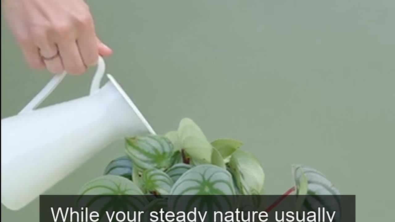 Daily Horoscope | Taurus 🌟