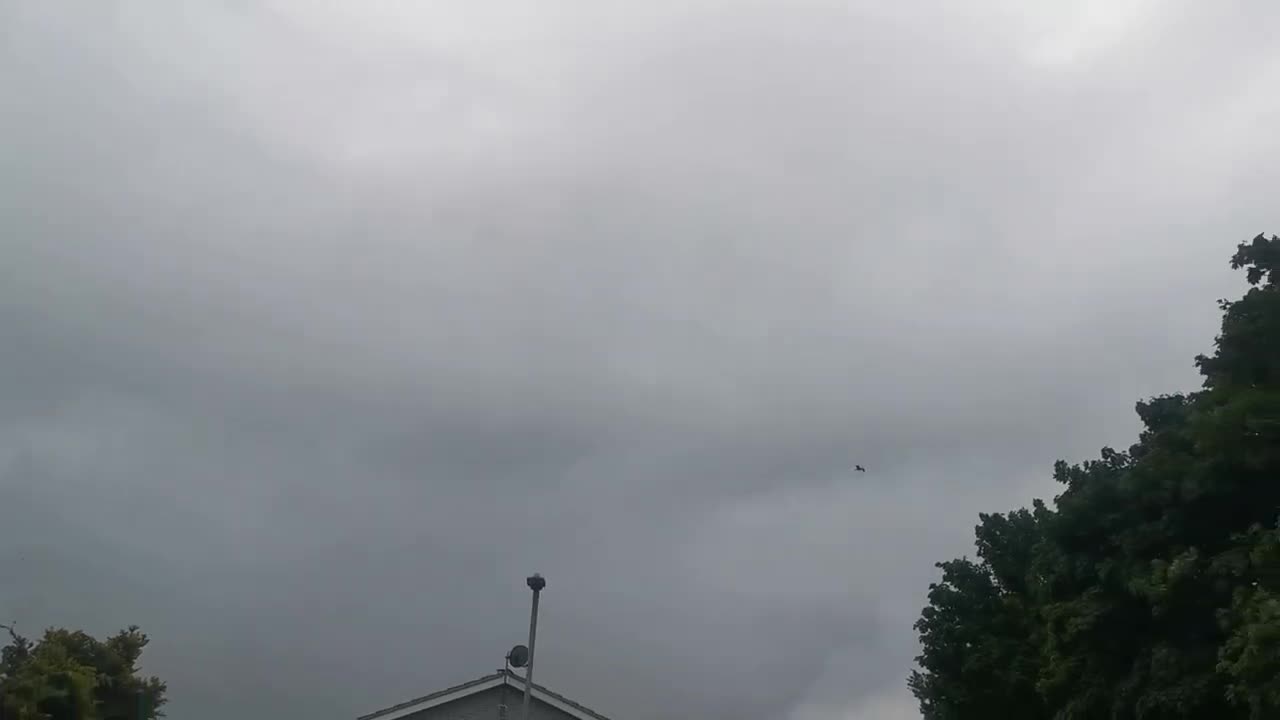 No Sandringham Serial Killer Black Wizard Terrorist Diss Shooter Here Google Johnny Botwright 2