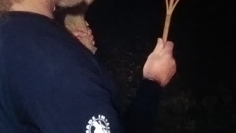 New Moon in Libra and Blue Star Kachina, manifestation ritual/meditation !!!