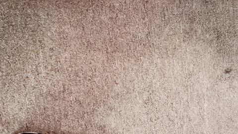 SEGUNDO DIA DE NUESTRO SEXTO ANIVERSARIO